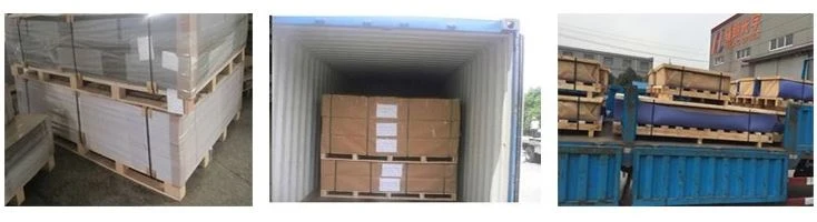 5 5
