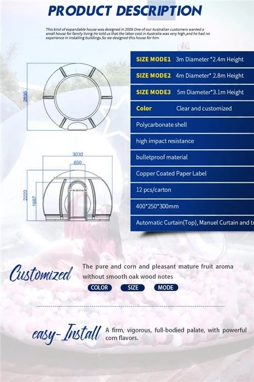 Polycarbonate Transparent Dome02