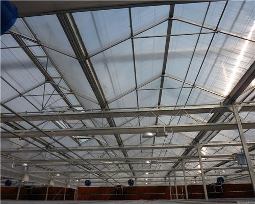 Clear Polycarbonate Hollow Sheet