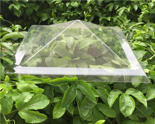 Polycarbonate skylight04