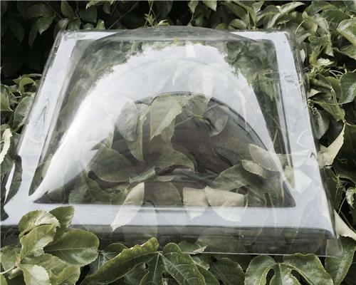 Polycarbonate skylight05
